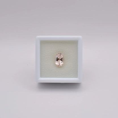 Morganite Ovale 1,11ct - pierre précieuse - gemme
