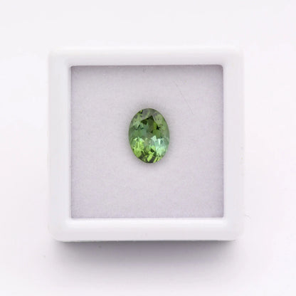 Tourmaline Verte Ovale 1,37 ct - pierre taillée