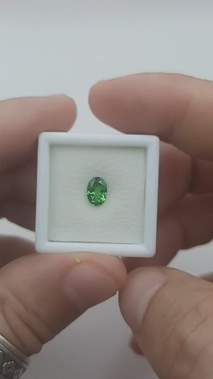 Grenat Tsavorite Ovale Vert  0,88ct